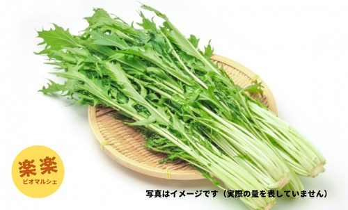 水菜