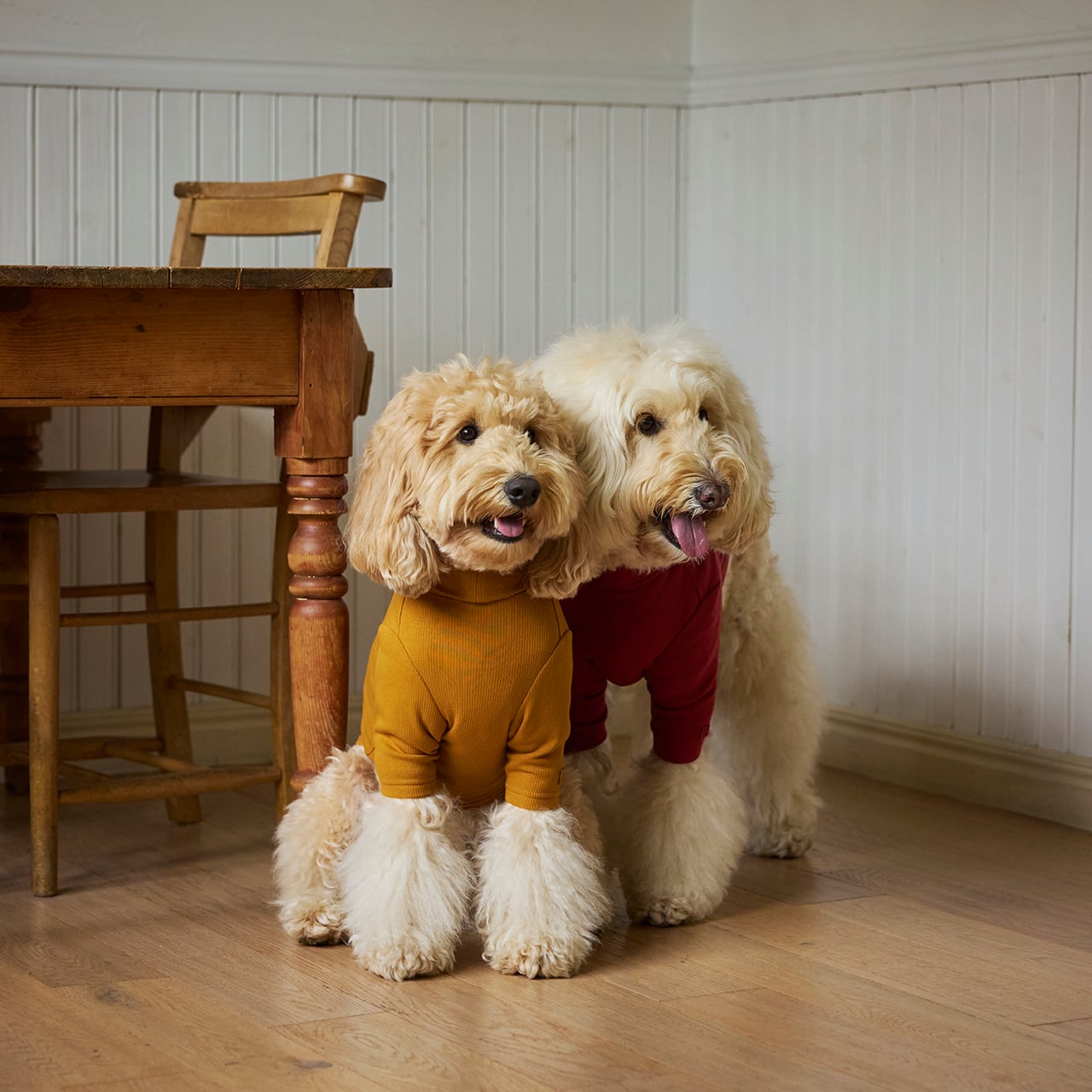 archive T-shits リブ Midnight Rebels - Black T-shirt – Crazy Lixx