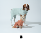 〈PUPPYGALLERY公式〉イエティオールインワン　M-XL