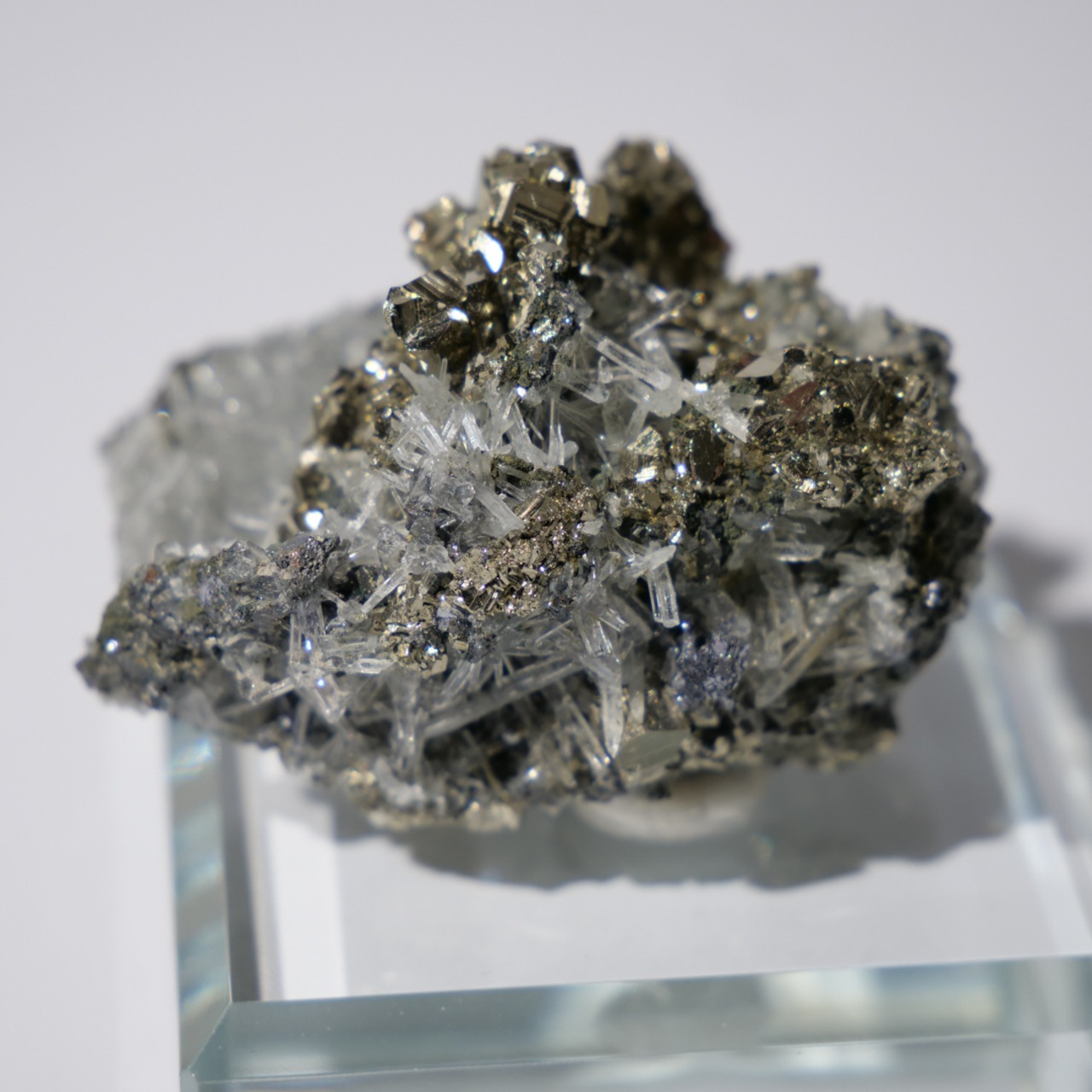 パイライト クォーツ / 原石 標本