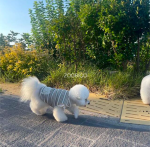 予約  【pecoramou select】 Waffle Dangara Frill Vest