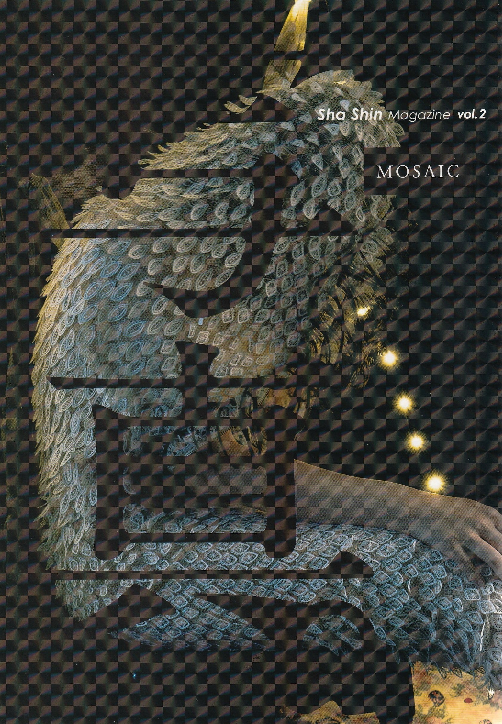 写真 [Sha Shin Magazine] vol.2「モザイク／Mosaic」