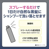 パルティ 黒髪スプレー ターンカラースプレー シャンプーで落ちる ナチュラルブラック 無香料 80g