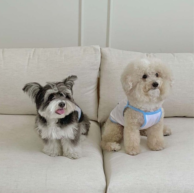 〈即納アイテム〉pebs / COOL CROP SWIM T for HUMANWALKERS(ブルー)