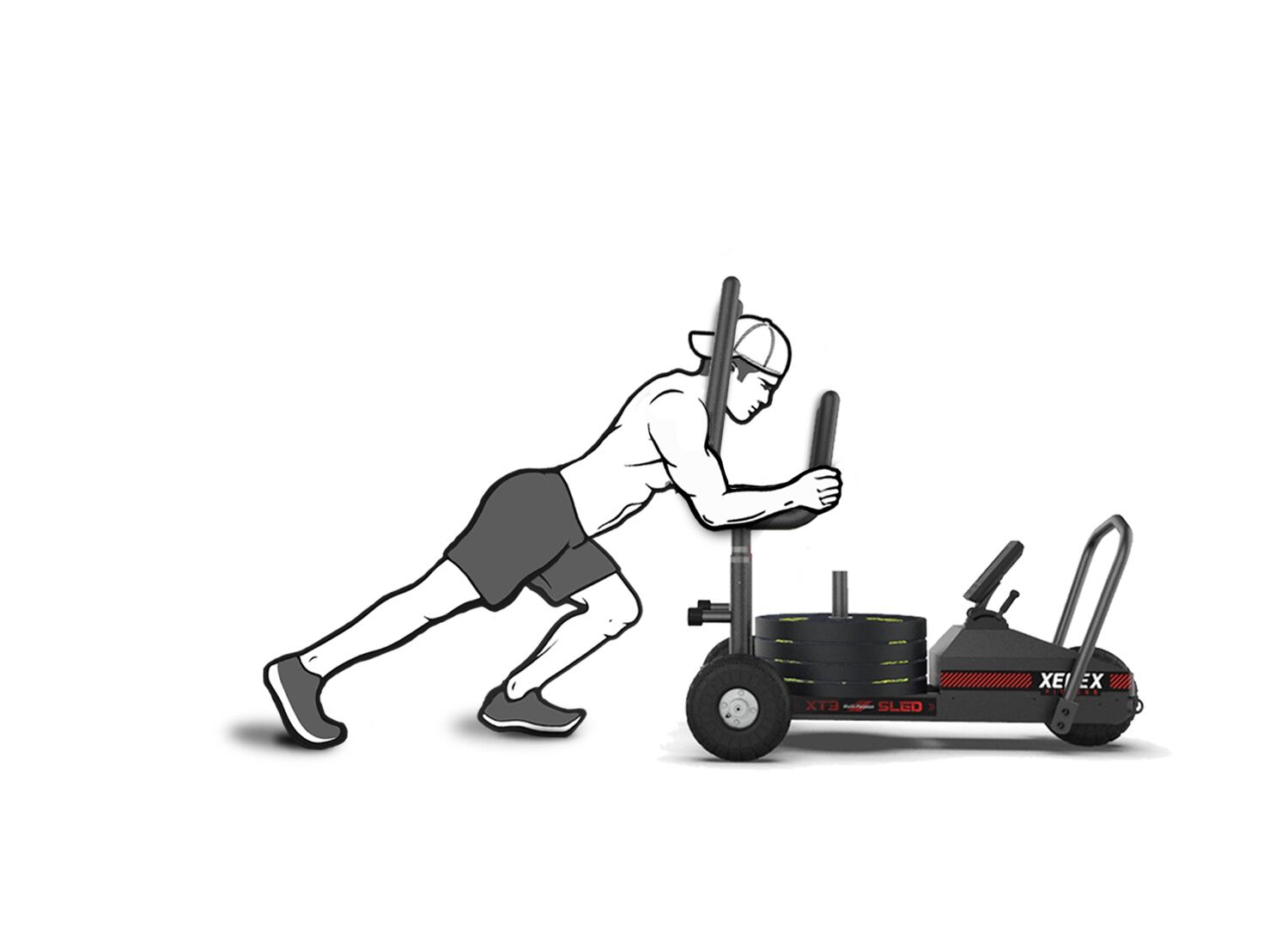 XEBEXウィルパワースレッド XT3V2 | XEBEXゼベックスフィットネス