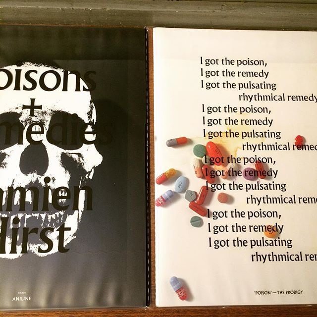 作品集「Poisons + Remedies／Damien Hirst」 - 画像2