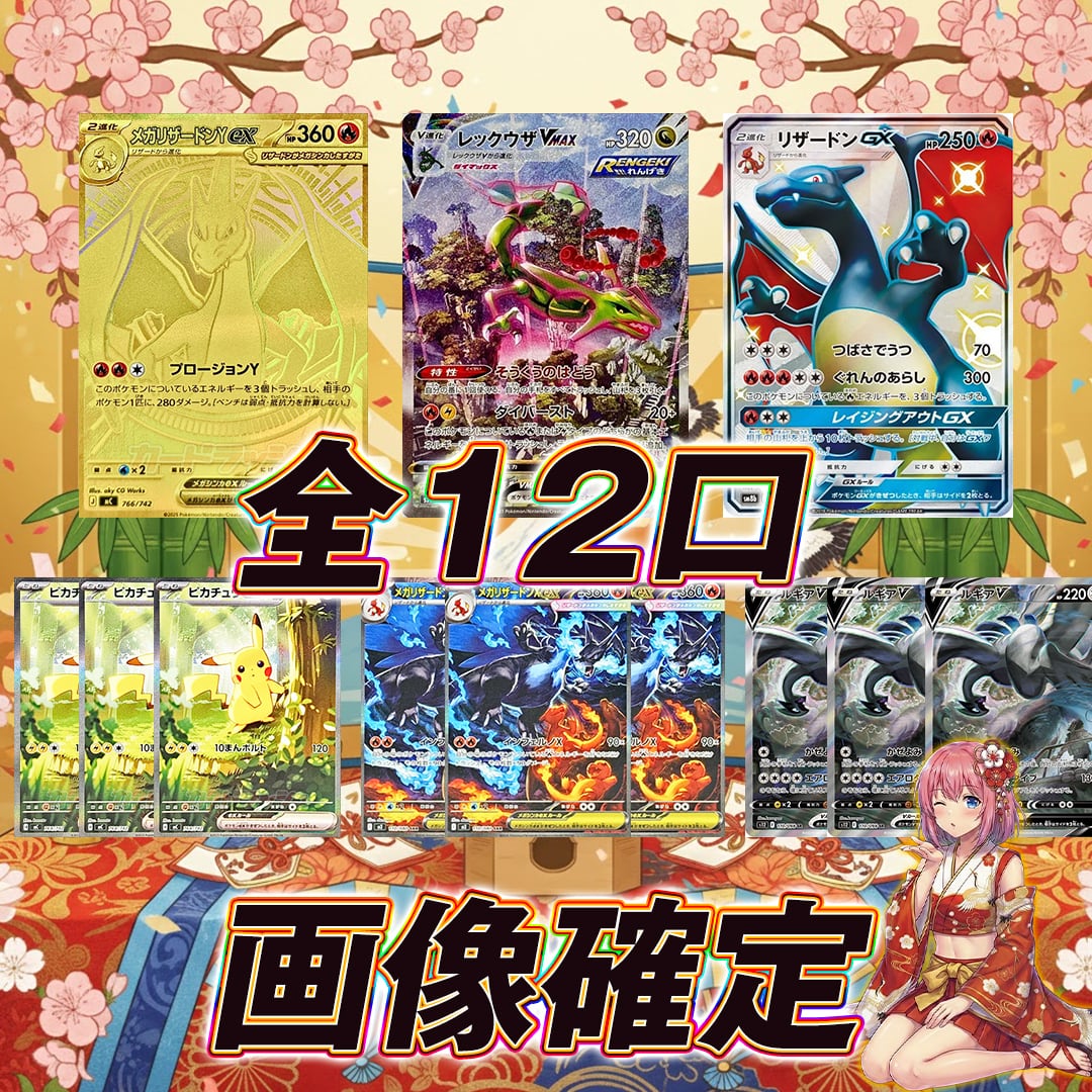 ポケモンカードパック多数セット 全12口 ポケモンカード画像確定オリパくじ【マイルド仕様