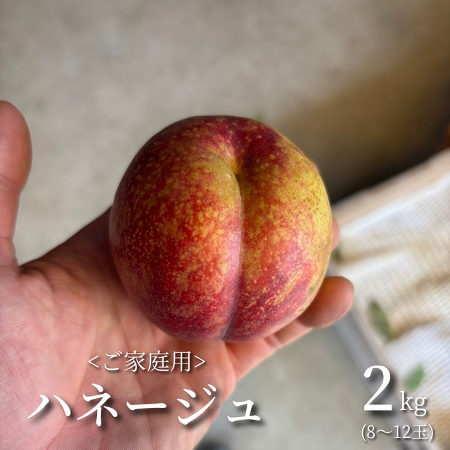 ≪予約受付中≫【ご家庭用はこちらから】ほそかわ農園の「ハネージュ」ご家庭用[2㎏]秋田県横手市十文字町産