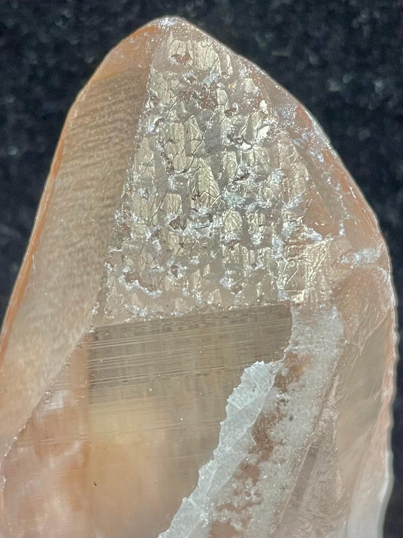 4) レムリアン・シード「ドリーム・シクル」レコードキーパー(大型)