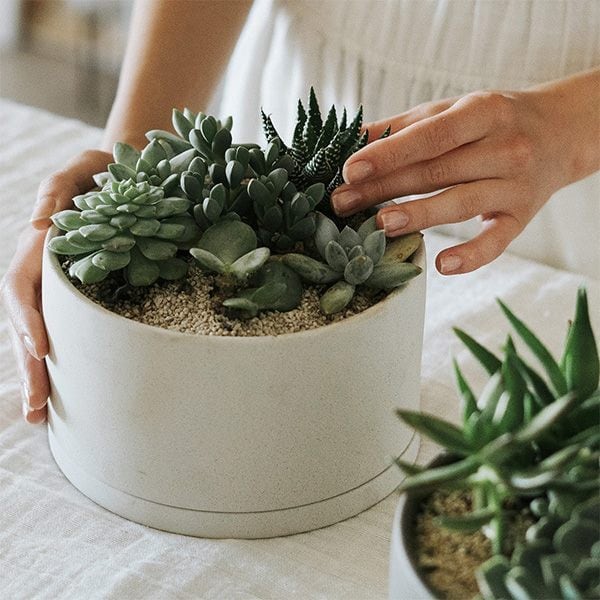 プラントポット 191_ 170mm 植木鉢 鉢植え フラワーポット プラントポット 191_ 170mm 植木鉢 鉢植え フラワーポット
