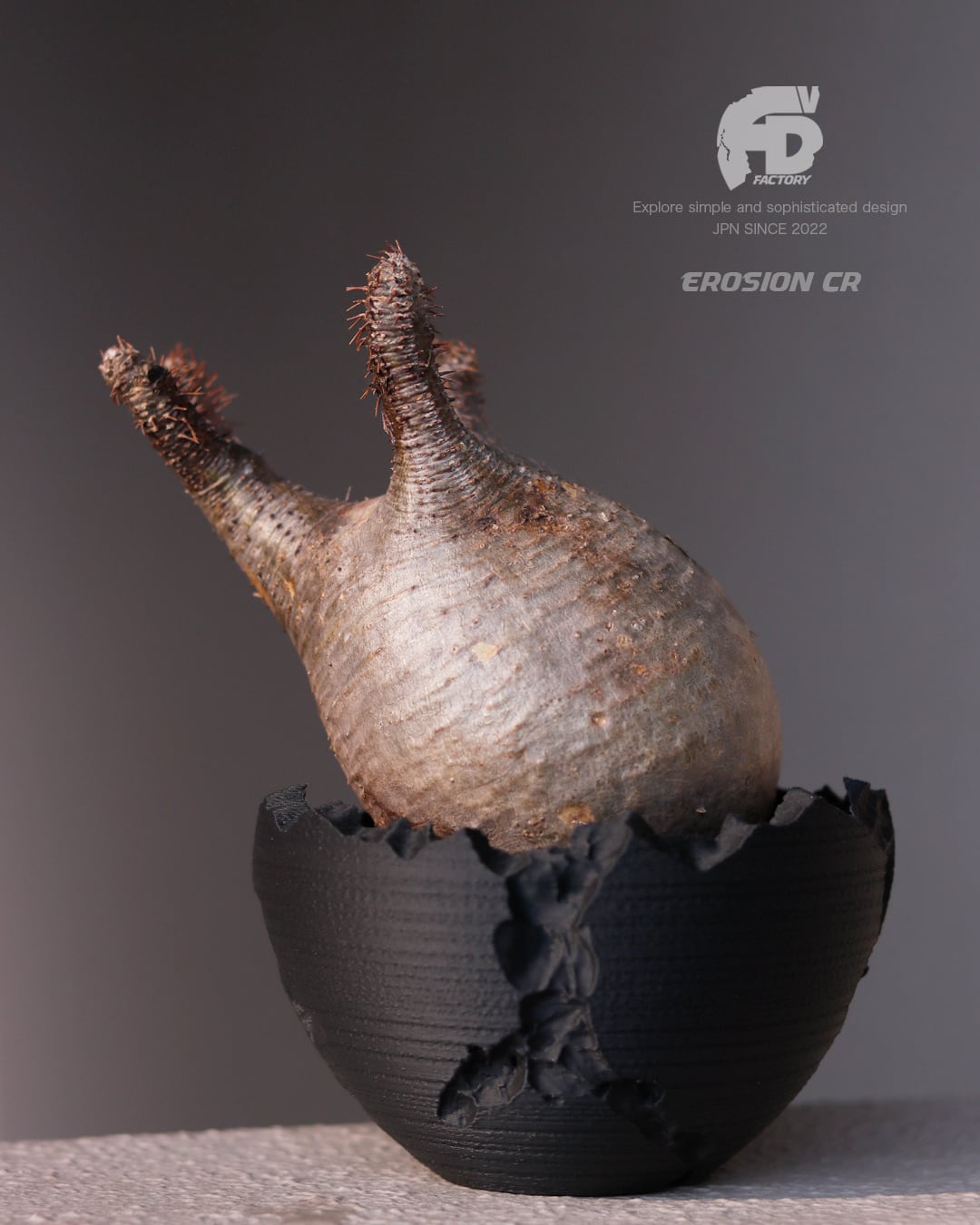 Adv-055-S (110×70) Erosion cr｜自然侵食を模したクラッキング鉢｜3D