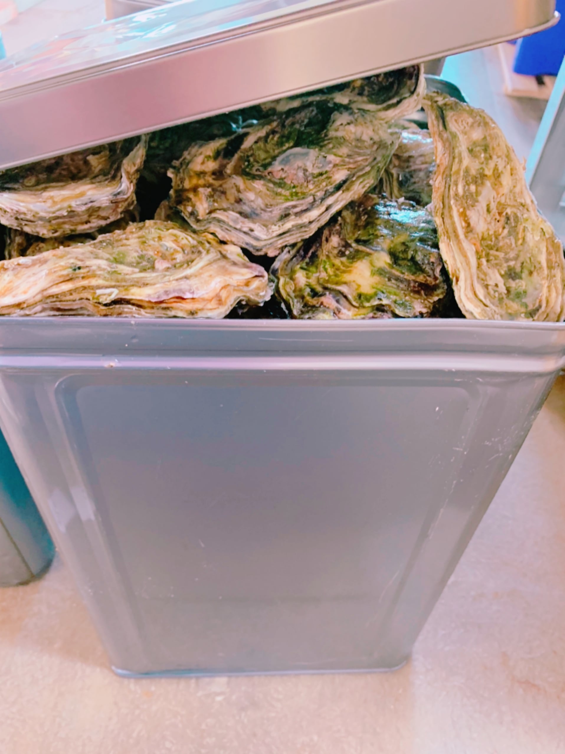殻付き牡蠣一斗缶ナイフ付き | 能登牡蠣芝田水産