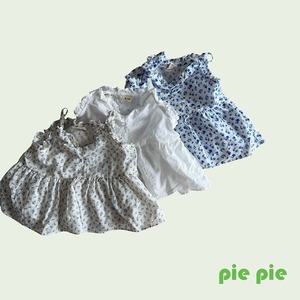 [pie] Nanabushtier / [파이] 나나뷔스티에