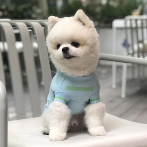 T-SHIRT WITH LOGO 3Design(3Color) / OVER GLAM