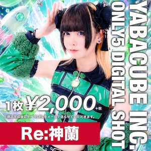 【5枚限定/ZP-07】Re:神蘭 5枚限定メッセージ落書き写真データ【¥2,200】