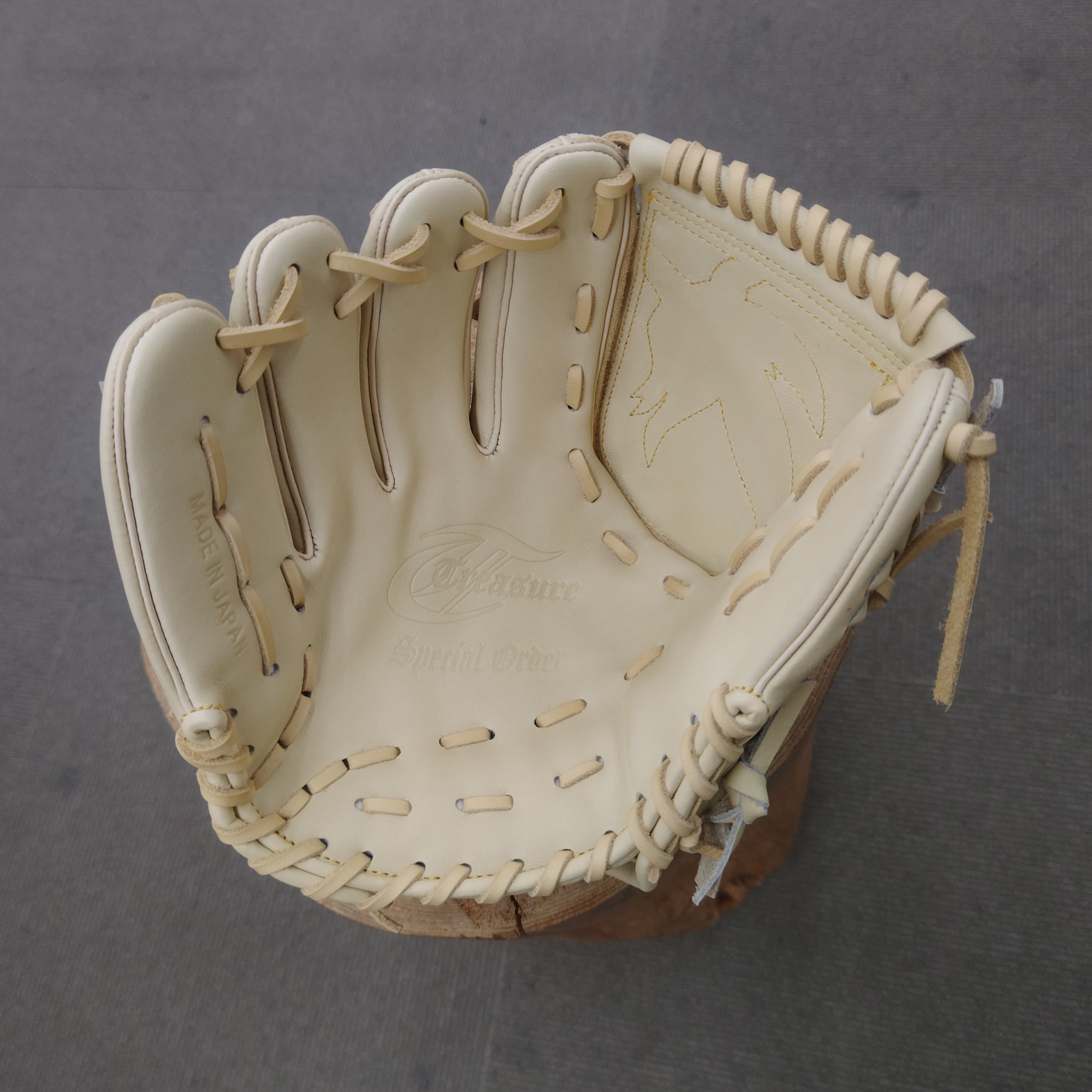 Treasure トレジャー 投手用特化型特殊重心グローブ 肩甲骨