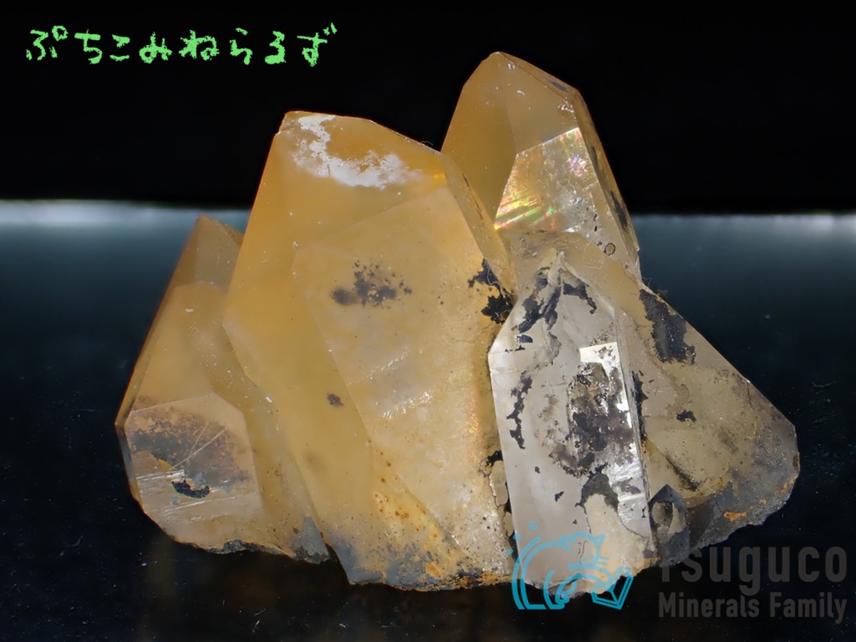 クォーツ 水晶 産地不明 PM-761 | PuchicoMinerals｜鉱物
