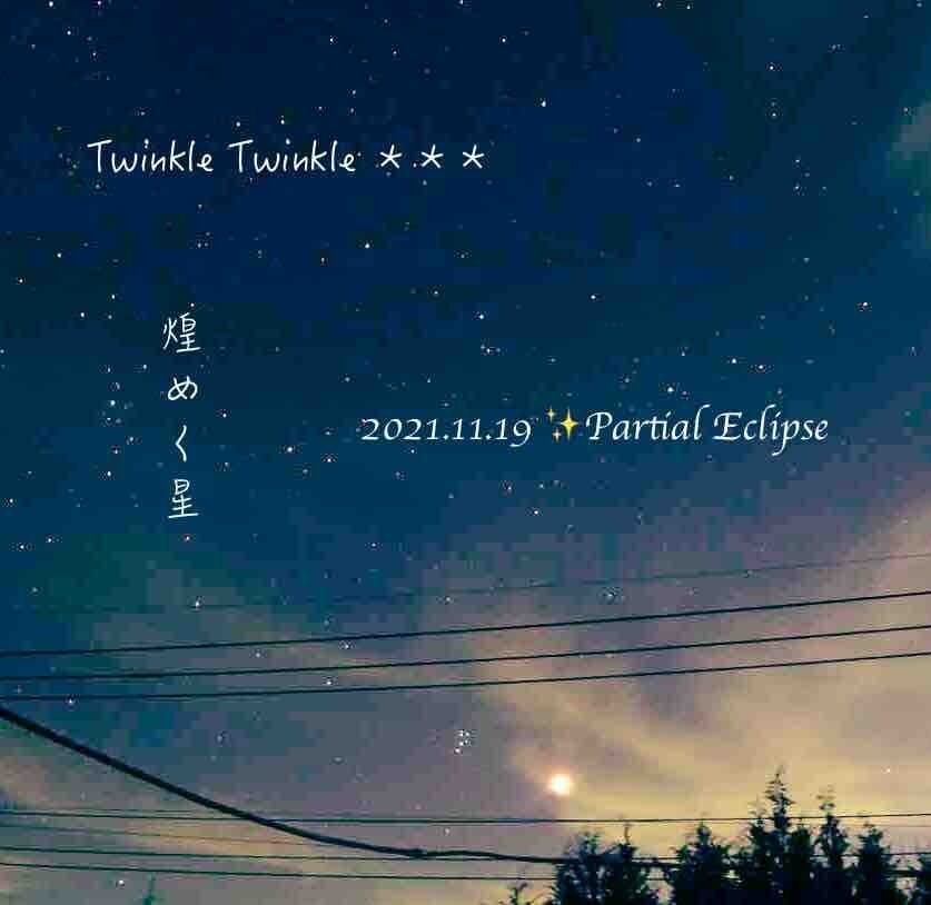 ★12月の誕生石★【Sv925】*宝石質* タンザナイト  Petit リング*　*6*mm*TwinkleTwinkle 輝く星が･゜ﾟ･*:.｡..｡.:*･