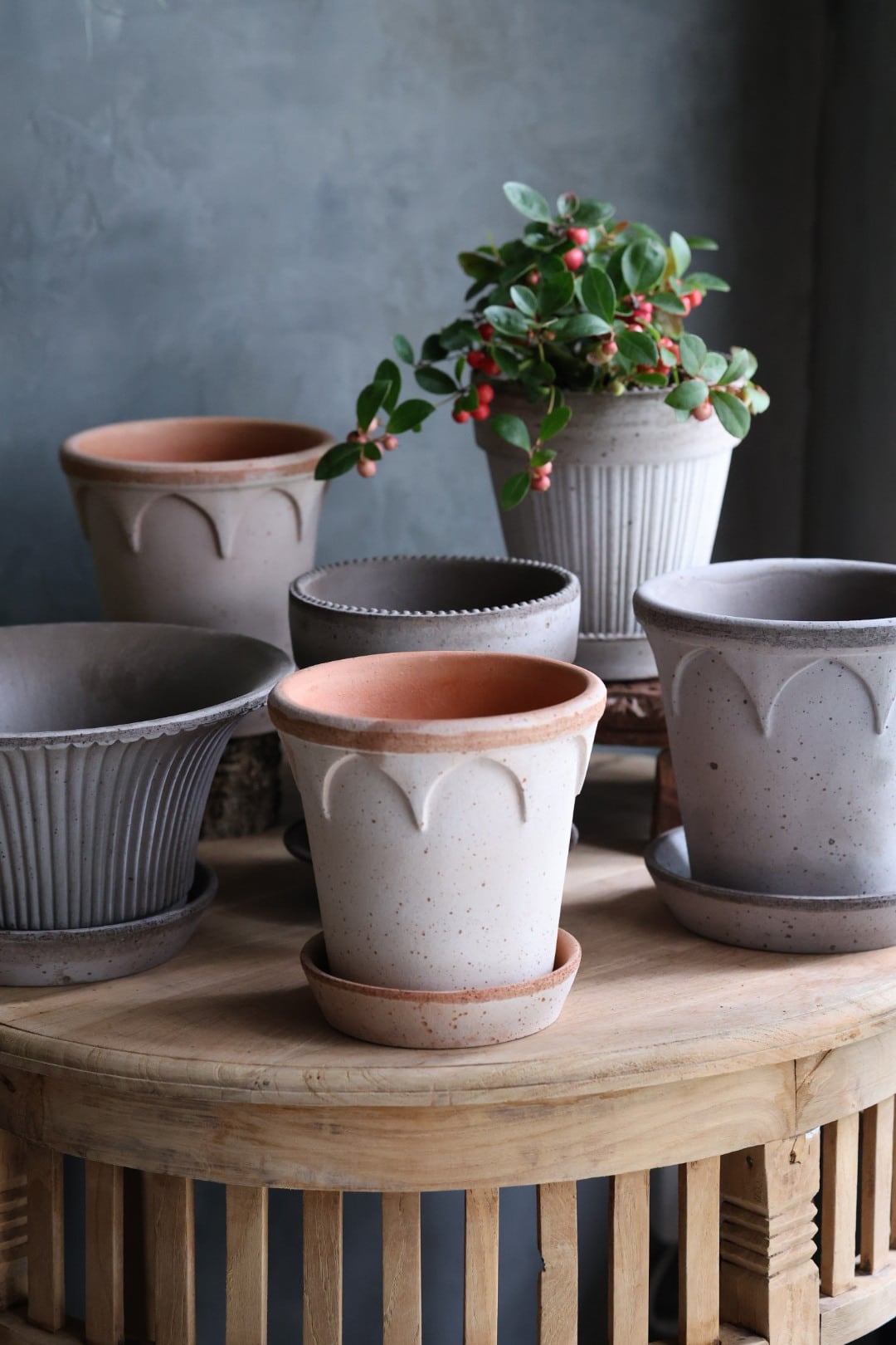 Bergs Potter⚫︎Daisy gray | SHUTOCA