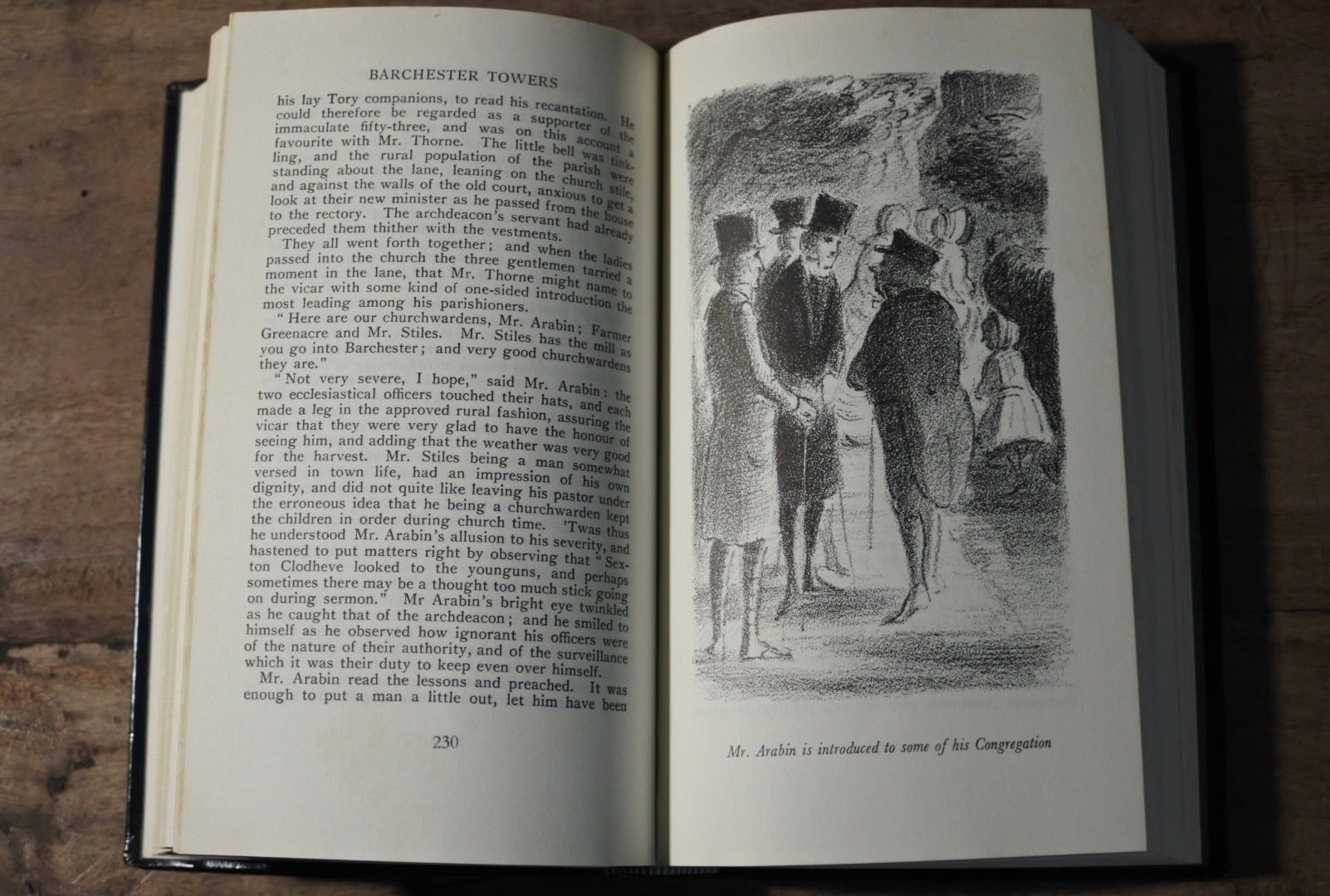 洋書 古書 The Literary Heritage Collection 30冊セット Heron Books
