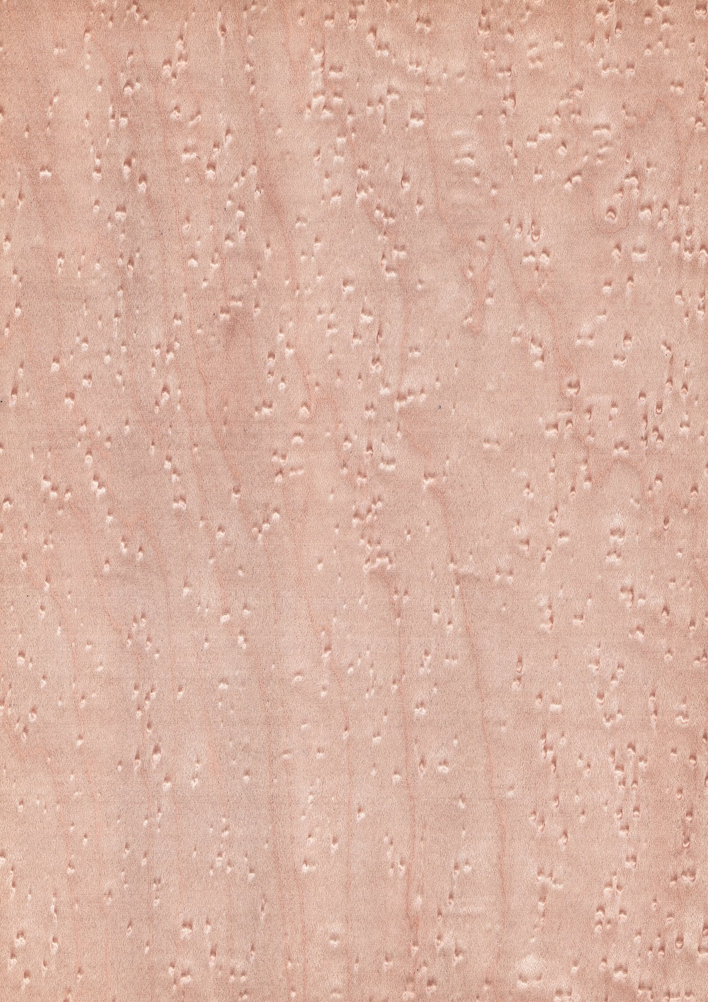 d0a3dec11eb2cf76723cb6aeb5120f