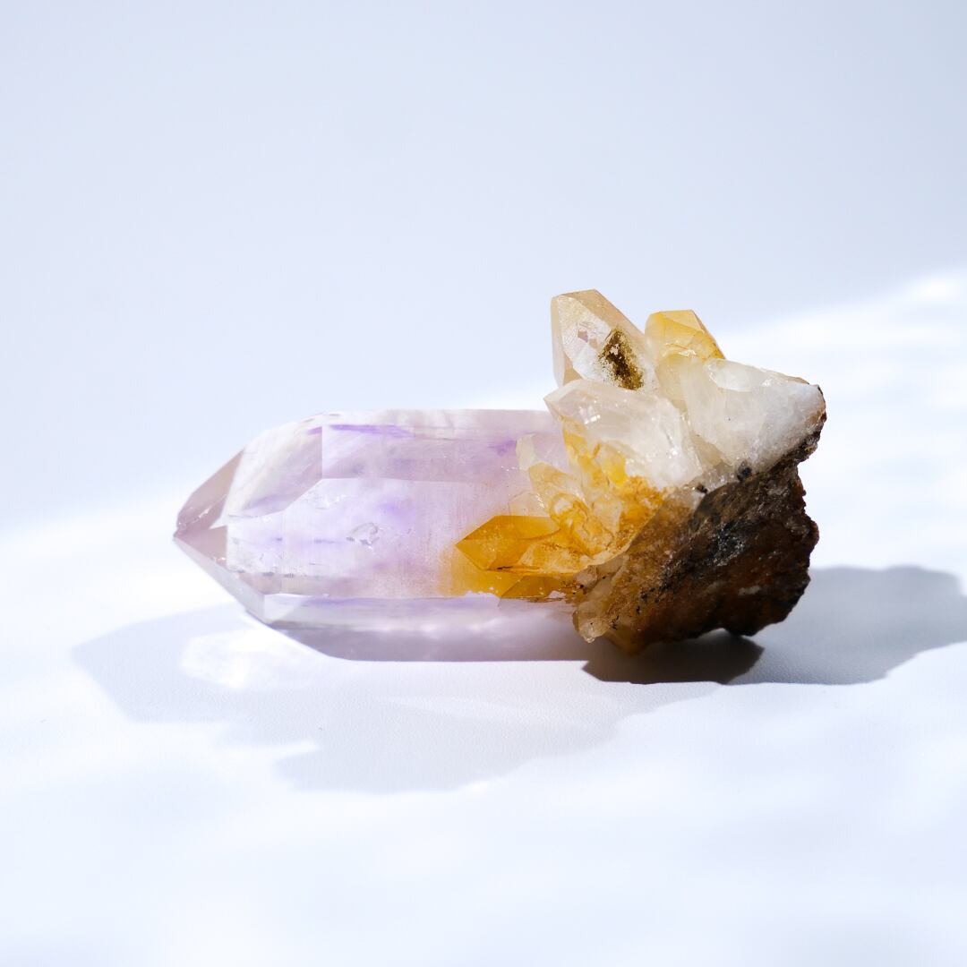 ブランドバーグ ゴボボセブ アメシスト アメジスト / 原石 標本【D_1