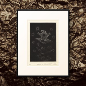 Shape of a CLOWNBIRD (2017)