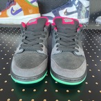 Nike SB Dunk Low Premier "Northern Lights"US8.5/26.5cm