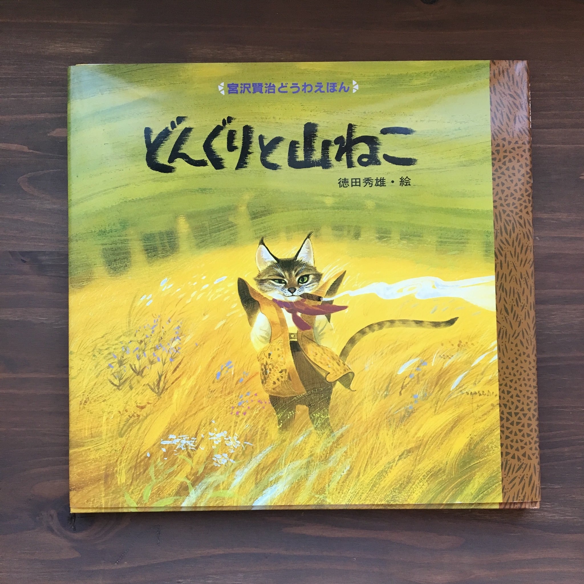 どんぐりと山ねこ(宮沢賢治どうわえほん2)