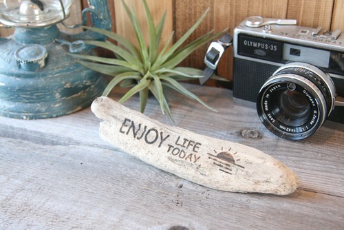 流木インテリア#1 