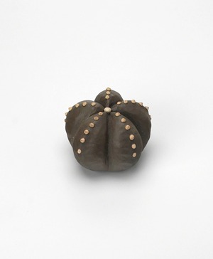 陶植／ランポー玉 - 五角（大）　BL/W