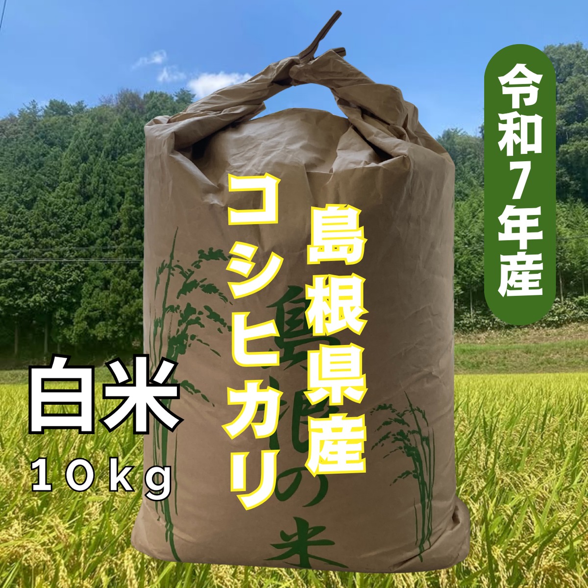 島根県産 コシヒカリ 10kg