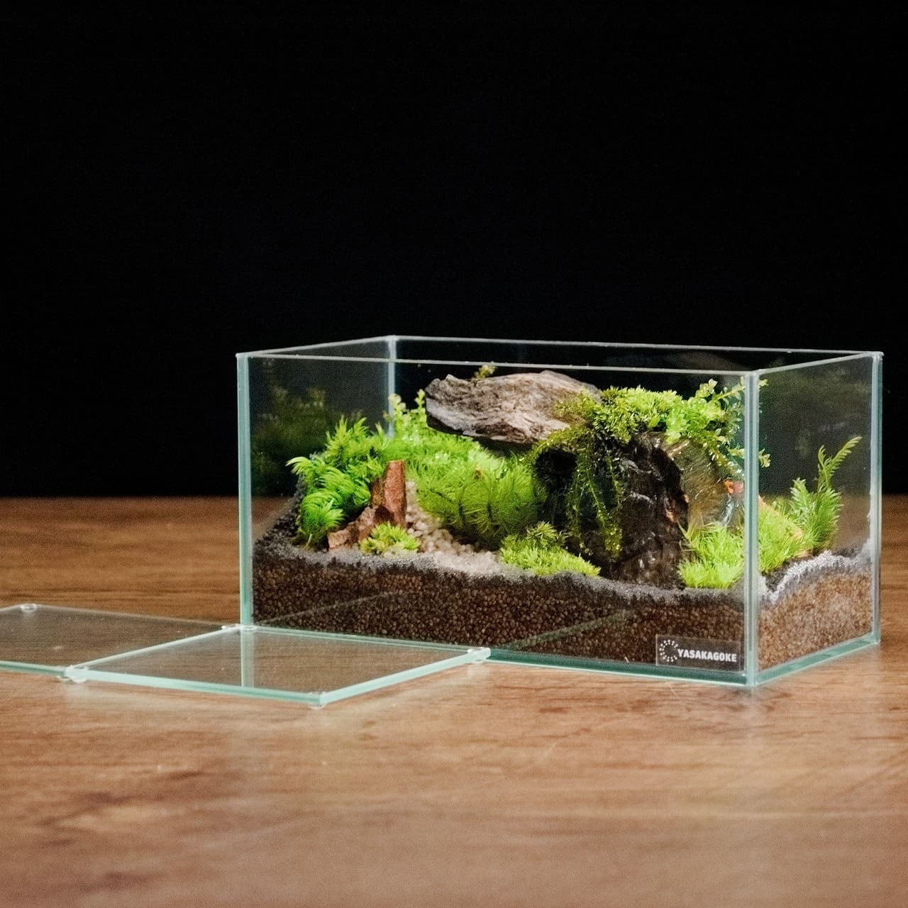テラリウム 完成品 40cm