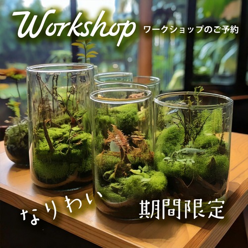 三島なりわいワークショップ（期間限定）11月25日(火) 小さな苔の森ワークショップ