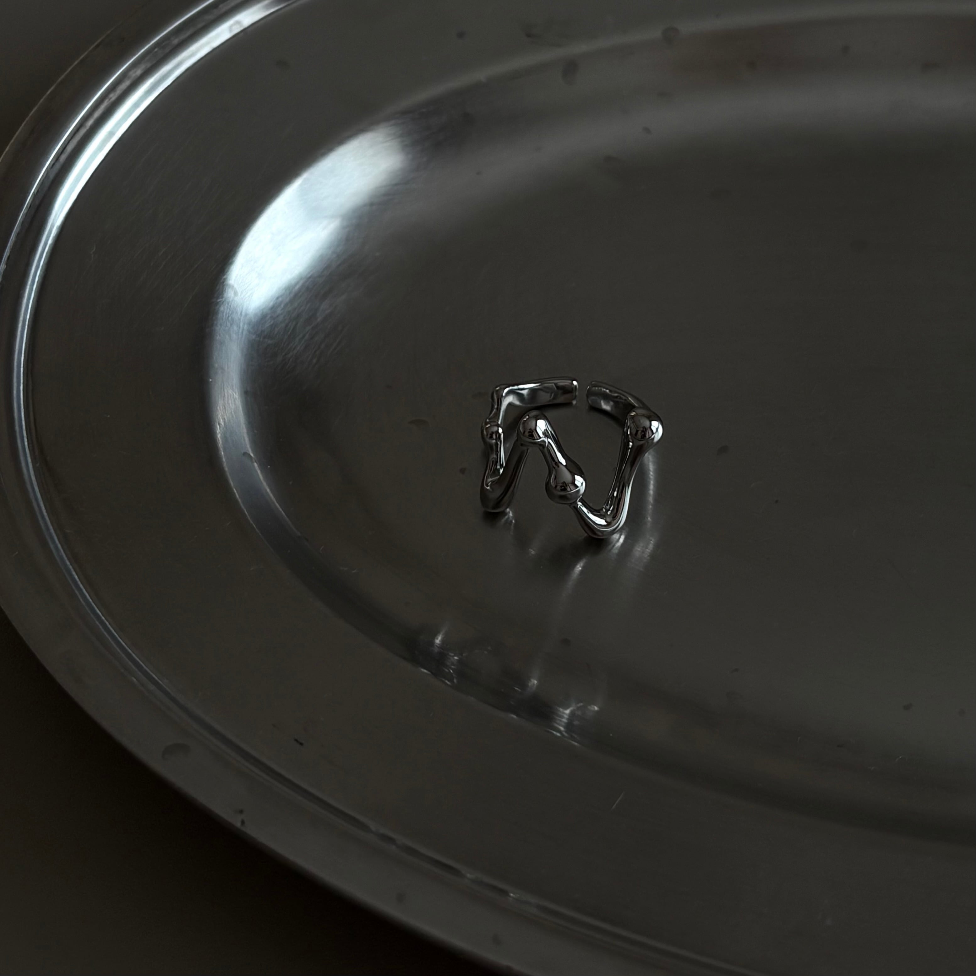 Stainless steel ring #20