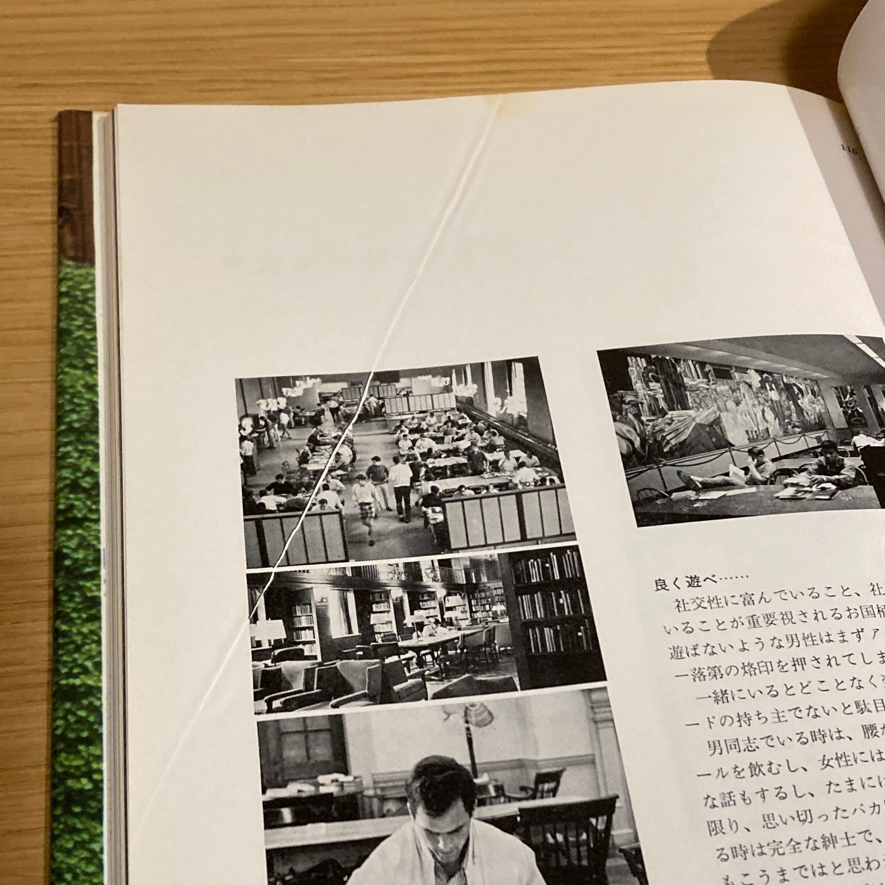 TAKE IVY / カメラ: 林田昭慶 文: 石津祥介 くろすとしゆき 長谷川元