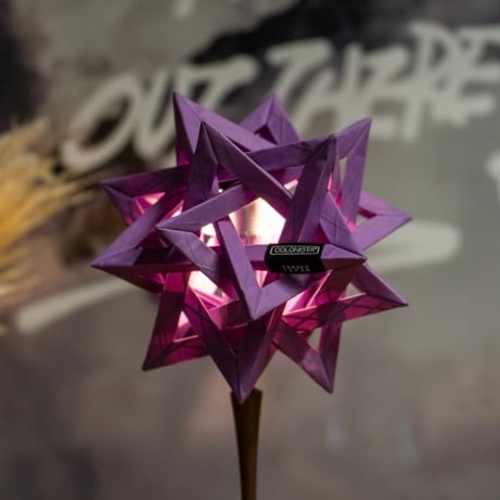 CONPE10 Purple | COLONISTA CONPE10 Purple | COLONISTA