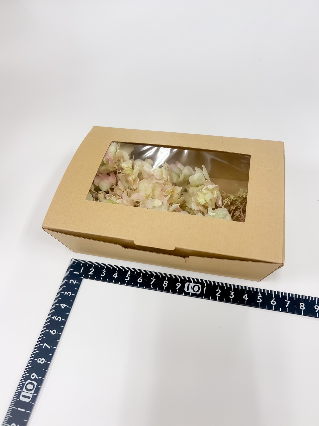 100 プリザーブド　カシワバアジサイ（グリーンピンク）