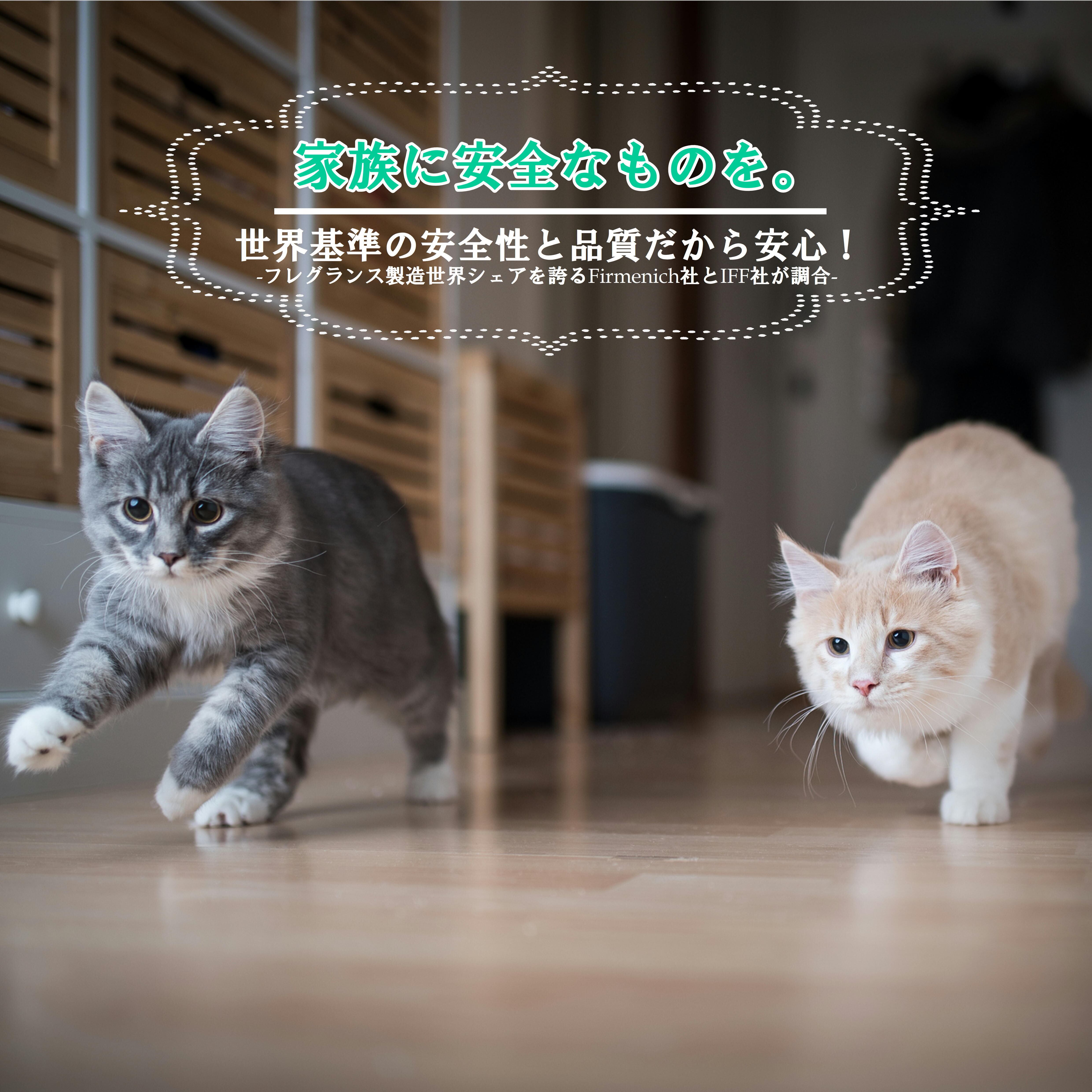 リニューアル記念！特別割引あり！【エアディフューザー（お得な導入