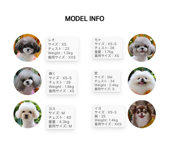 お散歩HARNESSハーネス ‐ (BERRY)