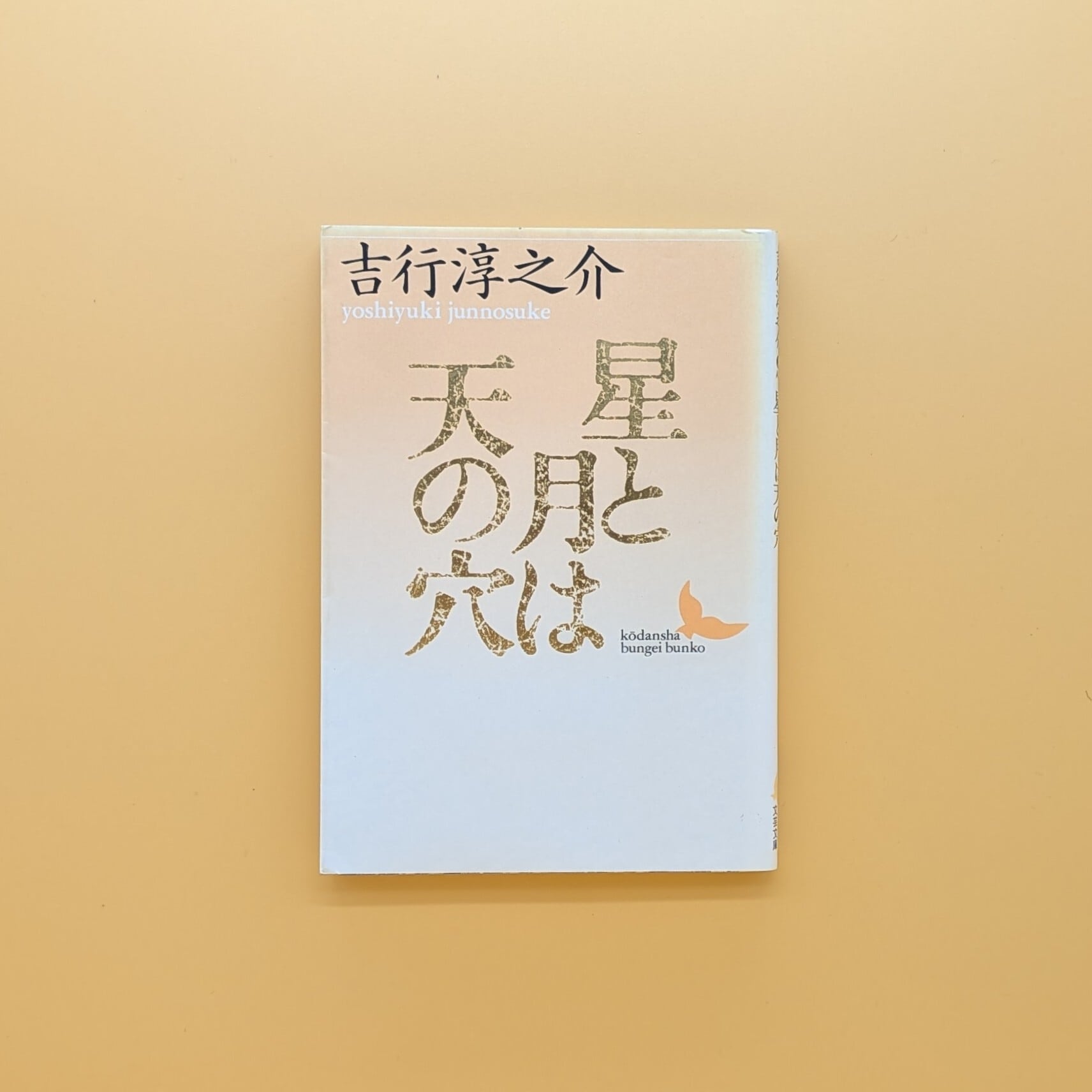 星と月は天の穴（講談社文芸文庫） | まわりみち文庫