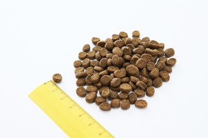 オープンファーム　ベニソンレシピ（1.81kg）