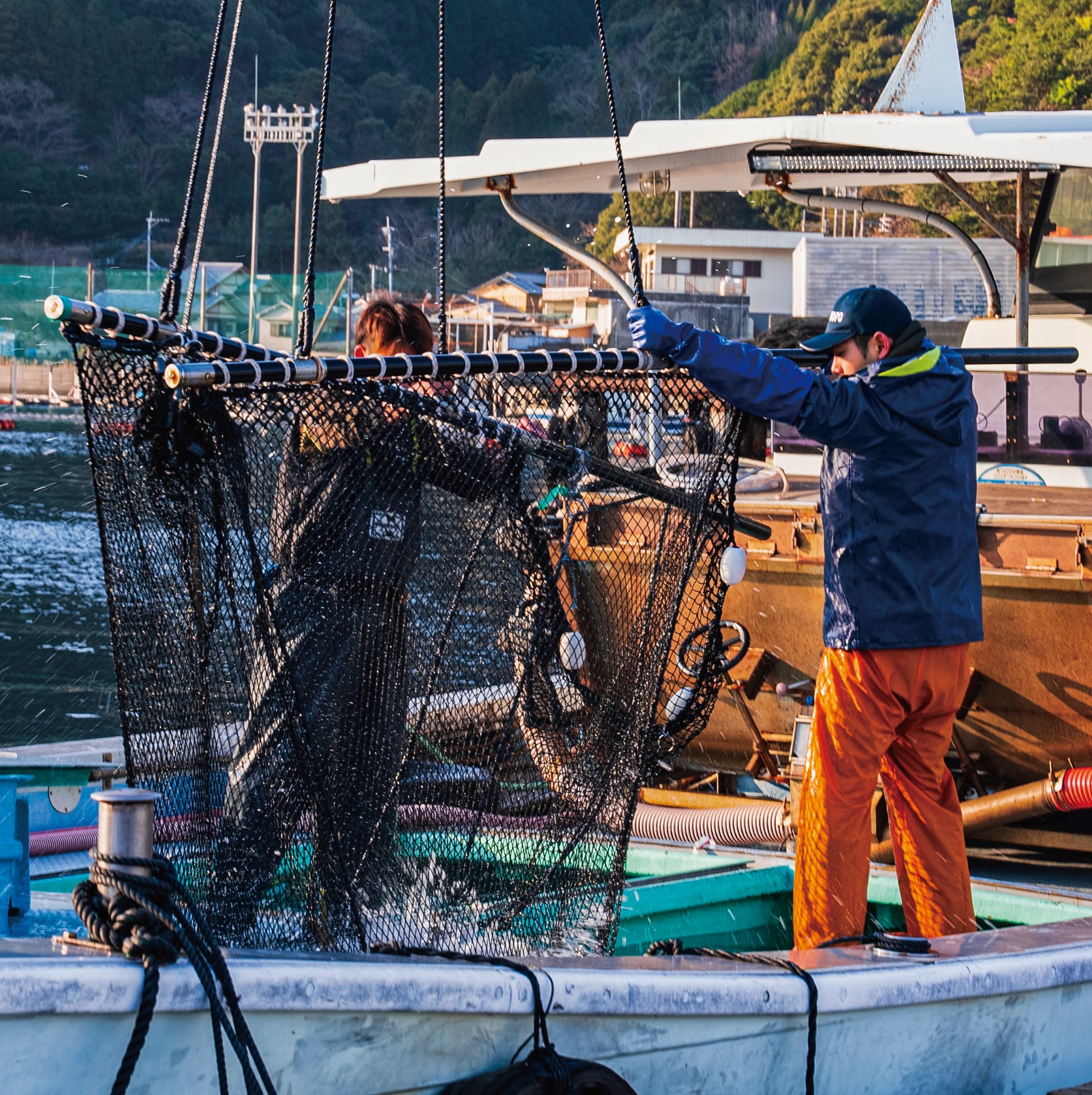 ！年末予約！[三枚おろし済１尾] 豊後ハマチ 若武者  ※送料込