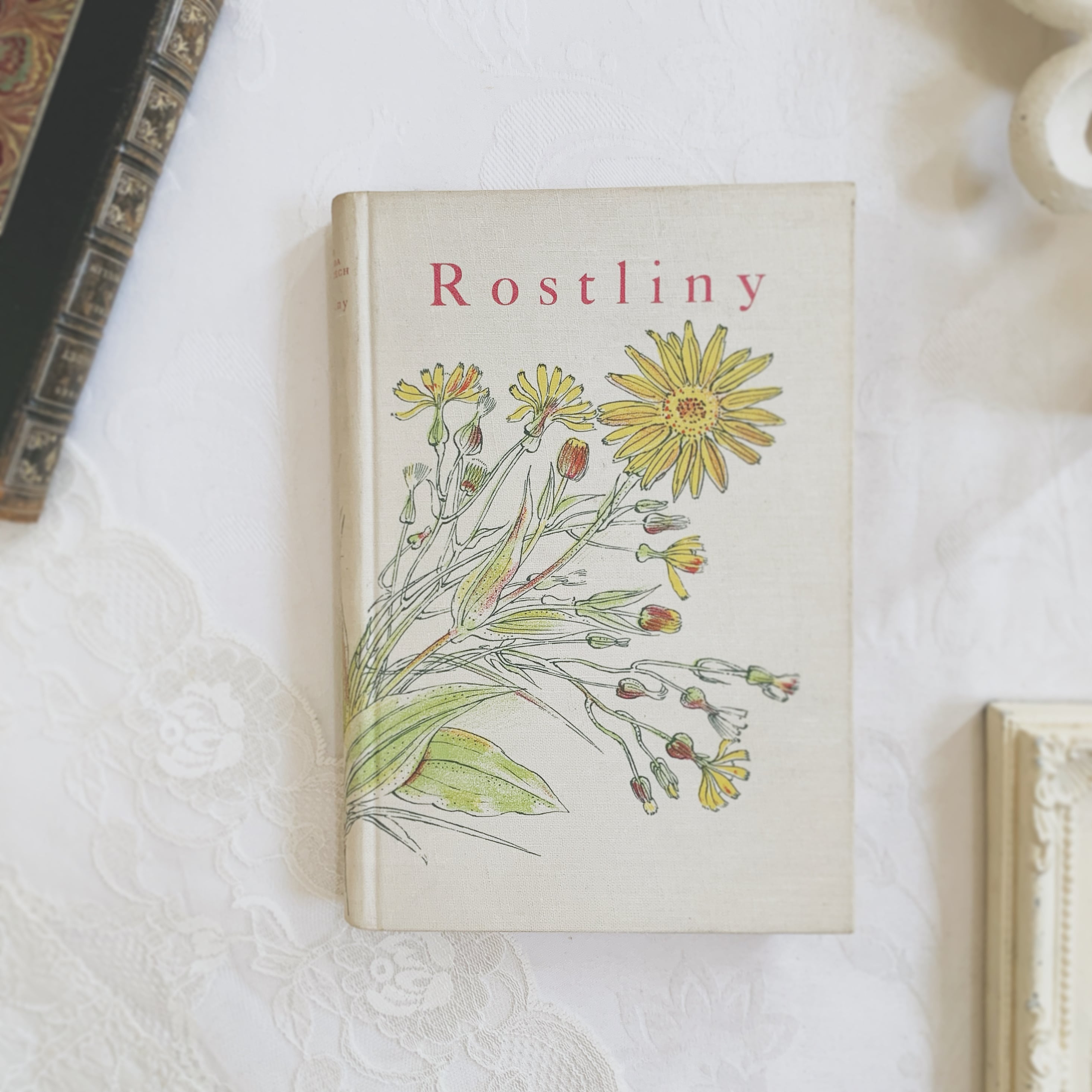 Chocotto* Books & antique