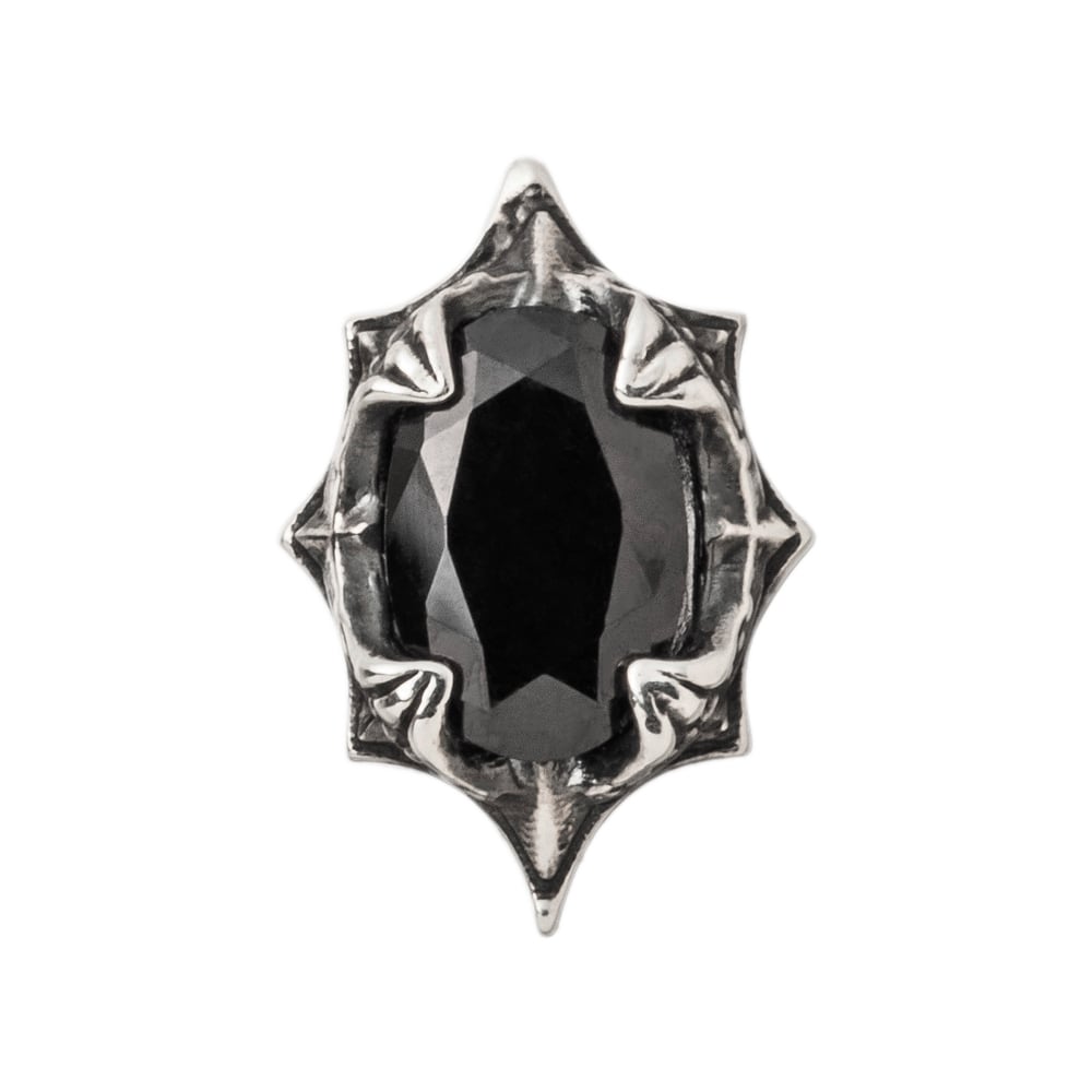 ブラックナイトピアス 片耳用 ACE0190 Black knight earring シルバー