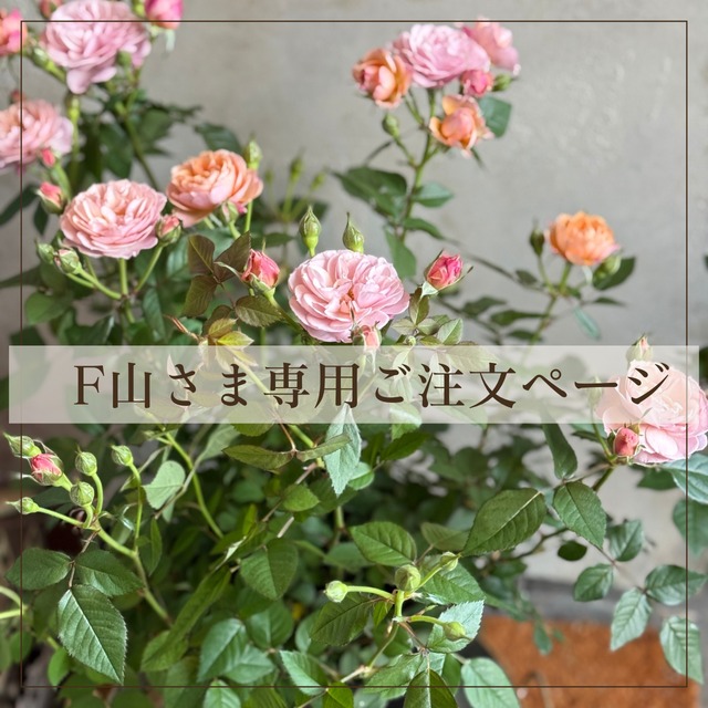 F山さま専用:ワイヤー鳥篭　ミニバラ他