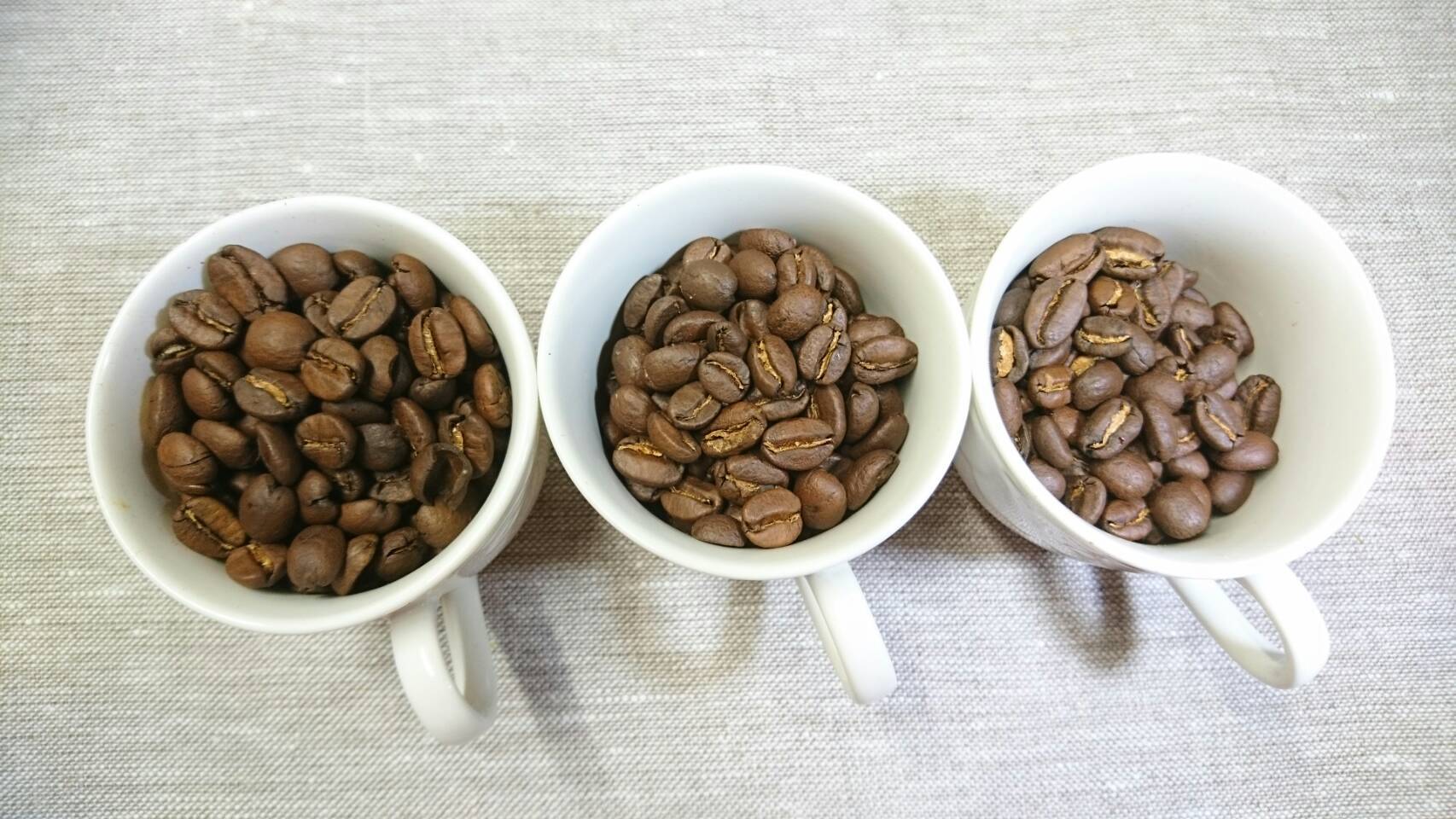 ソフトブレンド（100g） | 自家焙煎珈琲豆 彩豆｜秋田県由利本荘市から