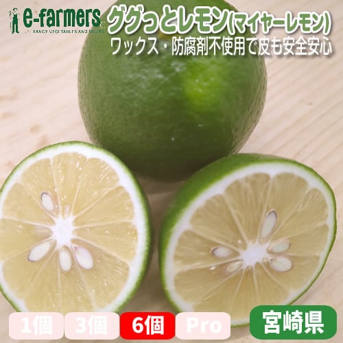 ググっとレモン(マイヤーレモン) 6個箱 | グリーン／イエロー／2色