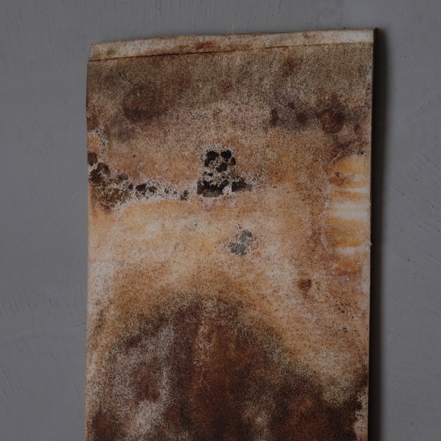 Wall art object