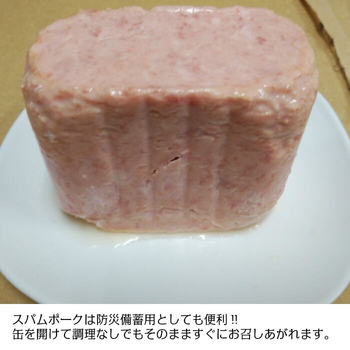 スパムレギュラー 340g×24缶セット | shineishoten